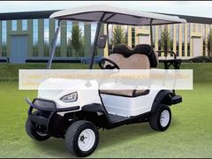 2석 / 2+2석 전기 골프 카트 납산 배터리 / 리?? 배터리